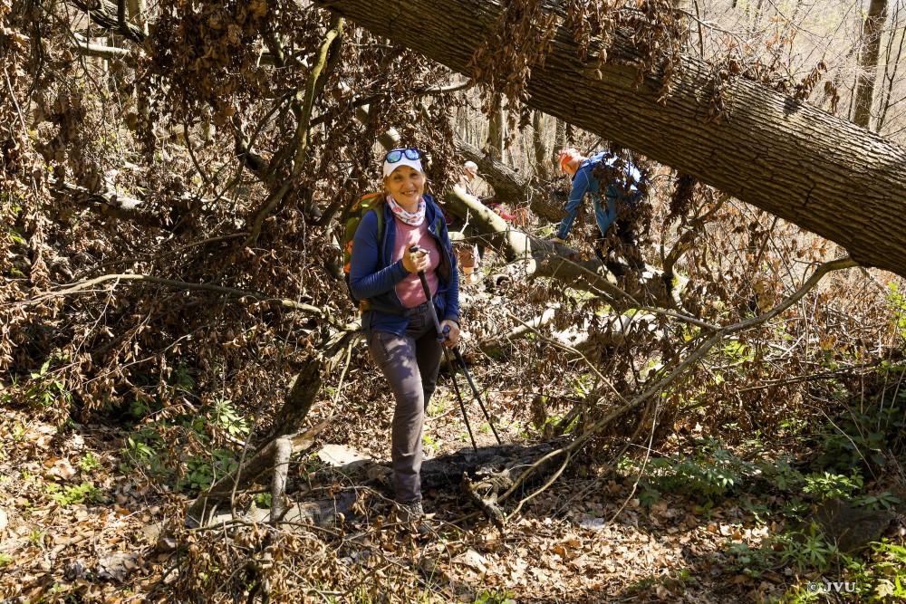 $lastEvent["LastEvent"]["name"]