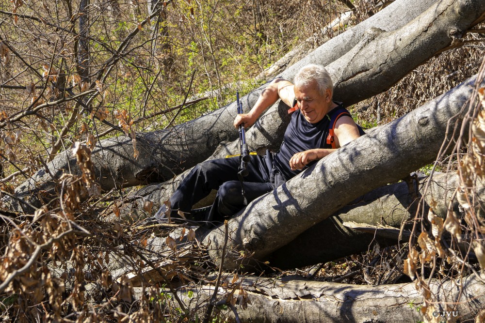 $lastEvent["LastEvent"]["name"]