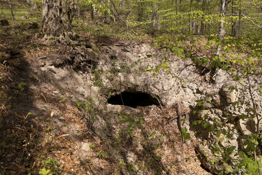 $lastEvent["LastEvent"]["name"]