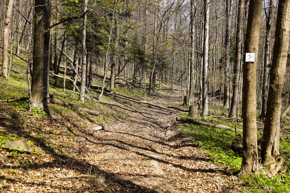 $lastEvent["LastEvent"]["name"]