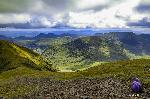 fotka